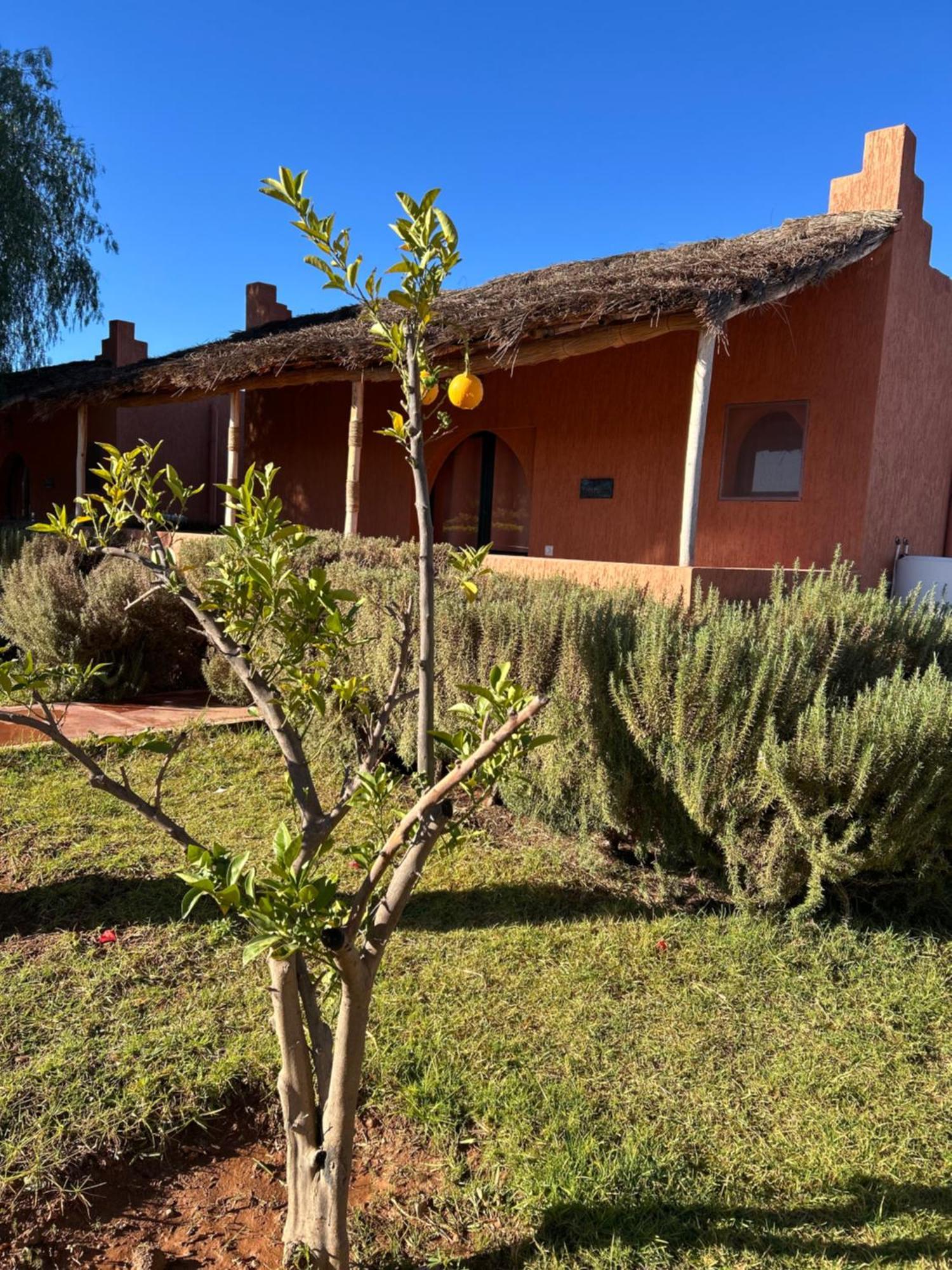 Hotel Les Orangers De l'Ourika à Douar Akkara Extérieur photo