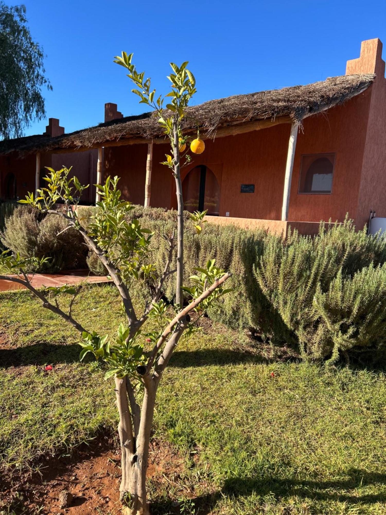 Hotel Les Orangers De l'Ourika à Douar Akkara Extérieur photo